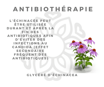 Antibiothérapie