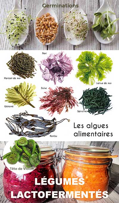 Legumes-Lactofermentes-Germinations-Algues